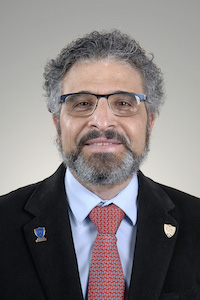 Image of Hossein  Elgafy